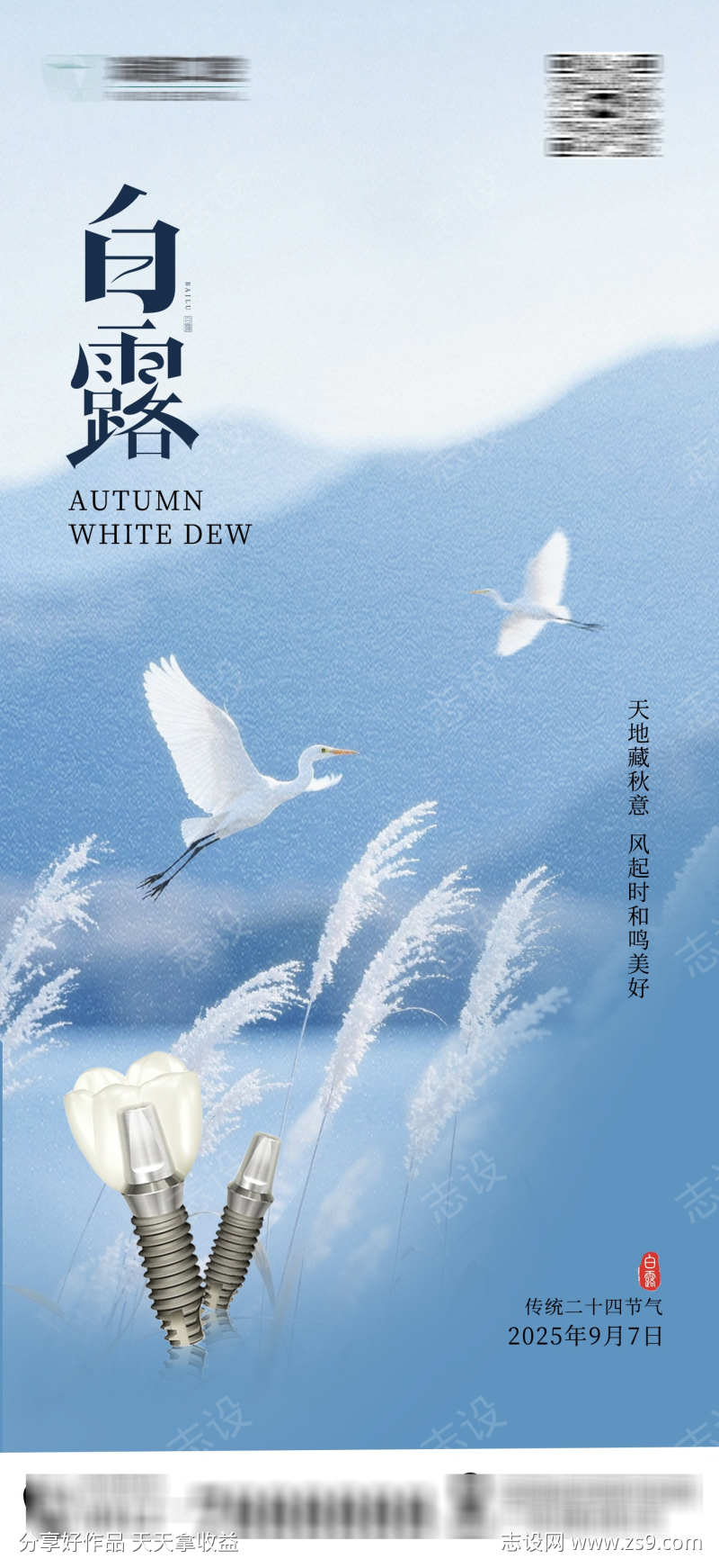 白露口腔节气海报