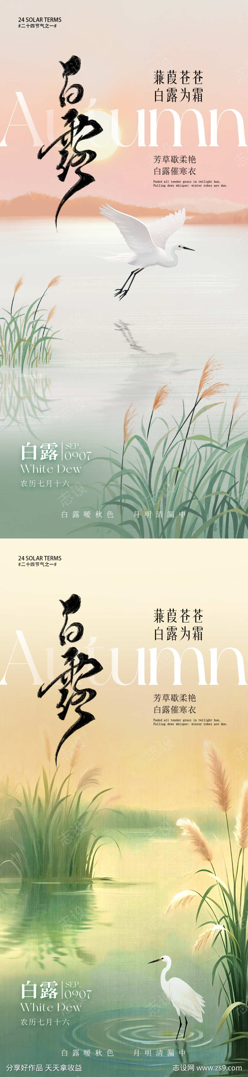 白露节气海报