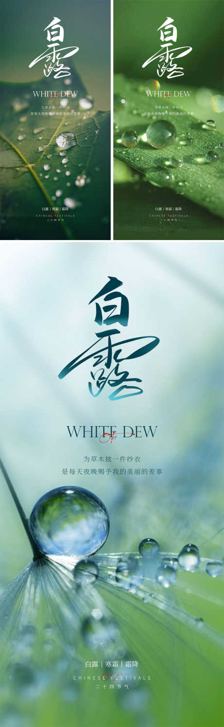 白露节气海报_源文件下载_PSD格式_894X2901像素-二十四节气,白露,清新-作品编号:2025083102918129-志设