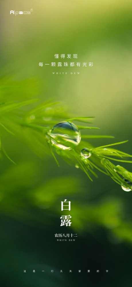 白露节气海报_源文件下载_CDR格式_1080X2338像素-二十四节气,白露,露珠-作品编号:2025083102631828-志设