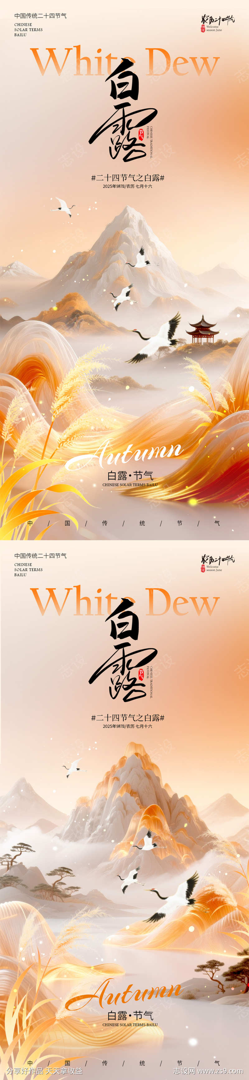 白露节气海报
