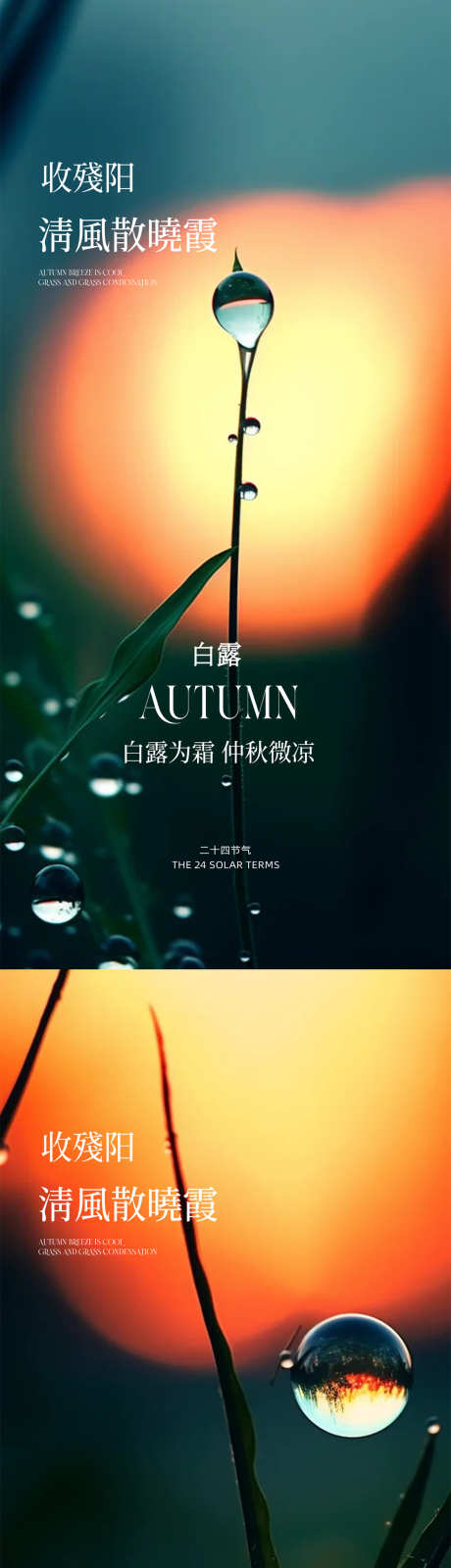 白露寒露节日海报_源文件下载_PSD格式_1080X4676像素-蓝色,艺术,节日海报-作品编号:2025090215018303-志ˈ̹设˱网