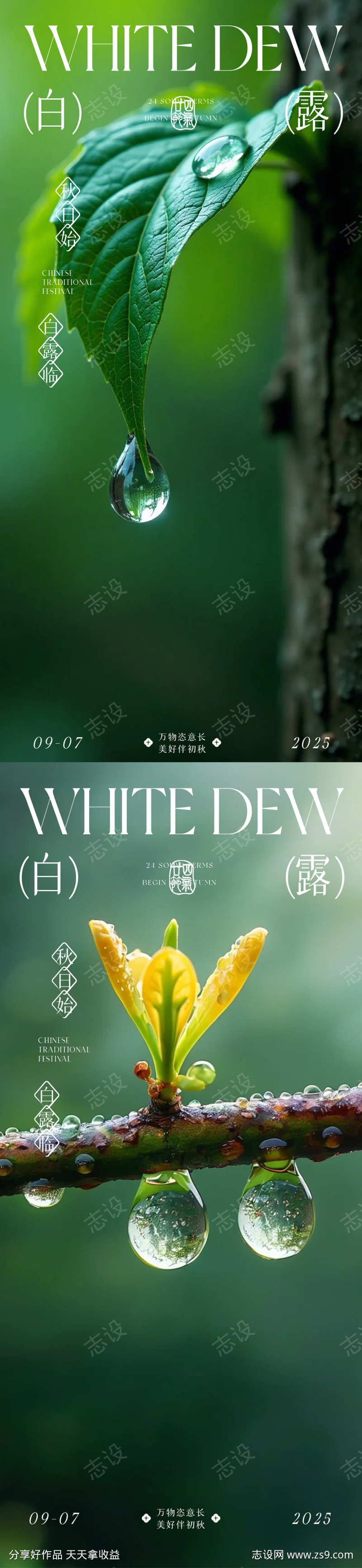 白露寒露节日海报