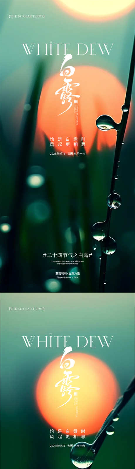 白露寒露节日海报_源文件下载_PSD格式_1080X4676像素-简约,绿色,节日海报-作品编号:2025090215057378-志·设·网