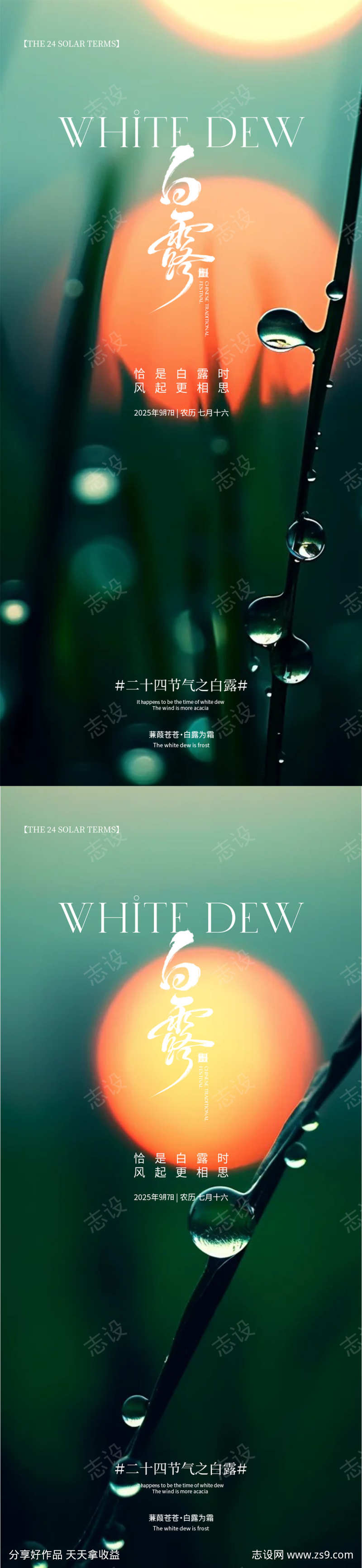 白露寒露节日海报