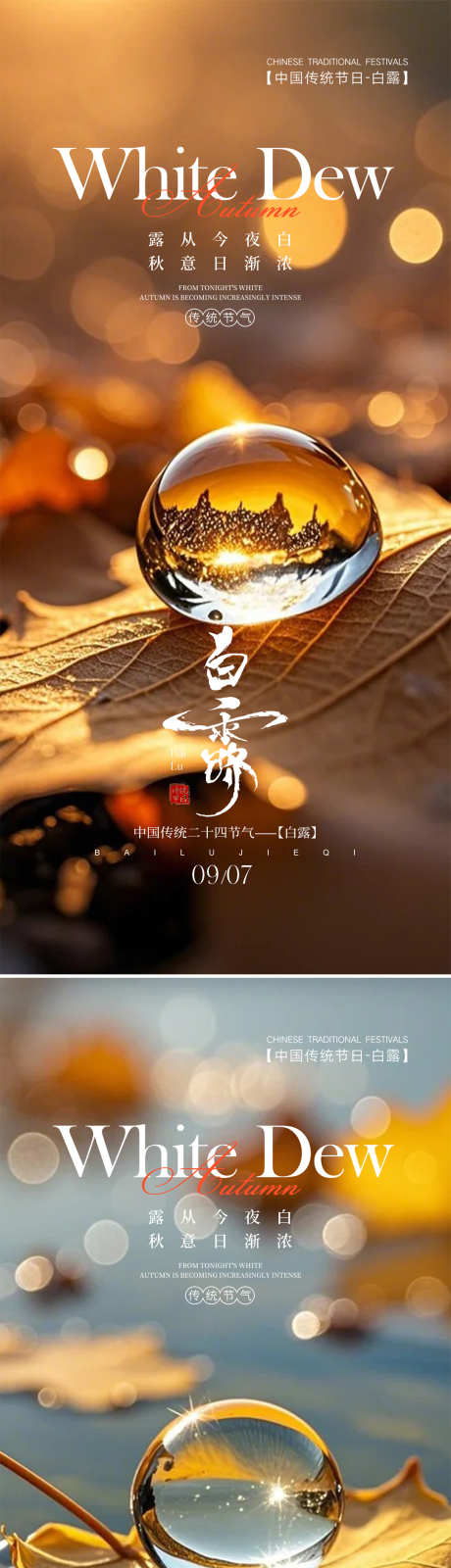 白露寒露节日海报_源文件下载_PSD格式_1080X4676像素-落叶,橙色,节日海报-作品编号:2025090215065059-志.设˙网