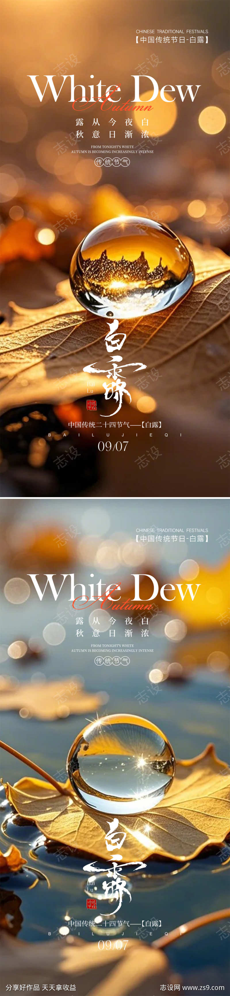 白露寒露节日海报