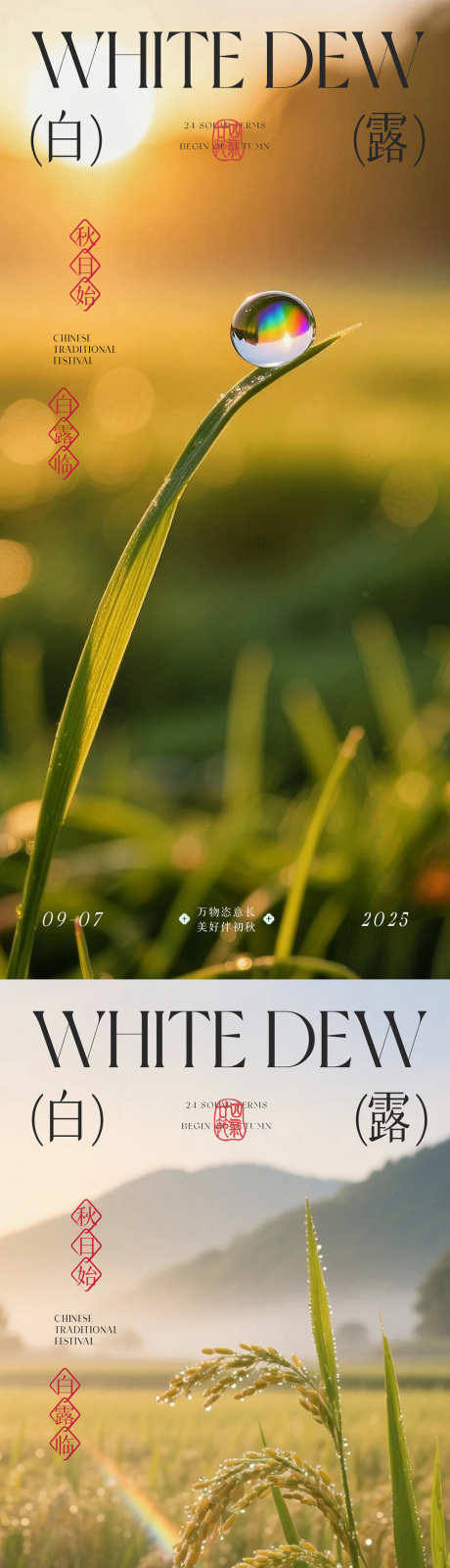 白露节气海报_源文件下载_PSD格式_1080X4676像素-意境,节气,白露-作品编号:2025090209324122-志’设˯网