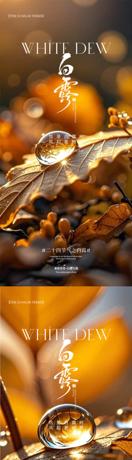 白露节气海报_源文件下载_PSD格式_1080X4676像素-高端,节气,白露-作品编号:2025090209201564-志ˈ̹设͵网