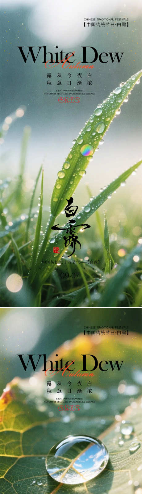 白露节气海报_源文件下载_PSD格式_1080X4676像素-高端,节气,白露-作品编号:2025090209192387-志ˉ设ˈ̹网