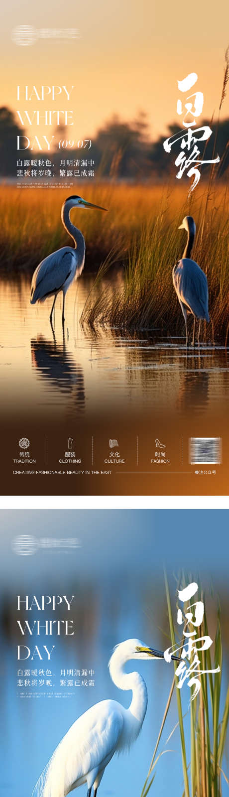 二十四节气白露海报_源文件下载_PSD格式_1726X7570像素-白鹭,海报,白露-作品编号:2025090209213486-志ˆ设ˌ网