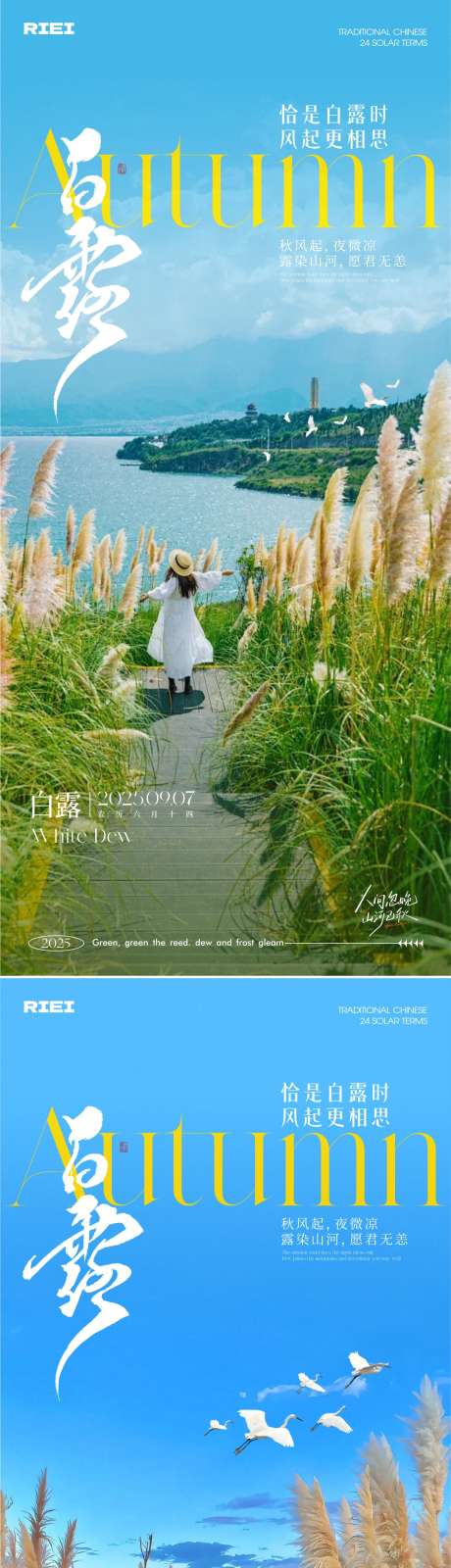 白露节气海报_源文件下载_CDR格式_1081X4686像素-地产,系列,简约-作品编号:2025090213338178-志ʹ֣֤֚֫֗ׄ设ʹ֣֤֚֫֗ׄ网