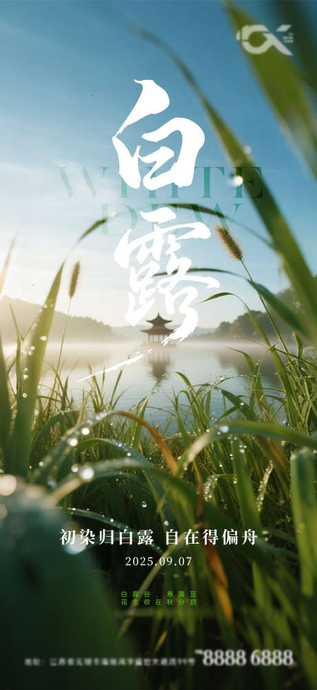 白露节气海报_源文件下载_PSD,AI格式_750X1630像素-湖心,露水,芦苇-作品编号:2025090114282738-志设