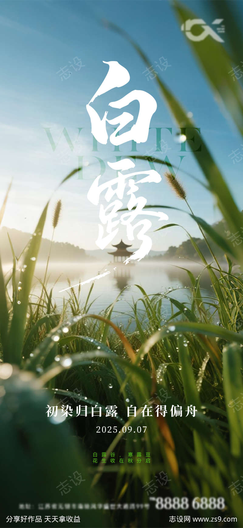 白露节气海报