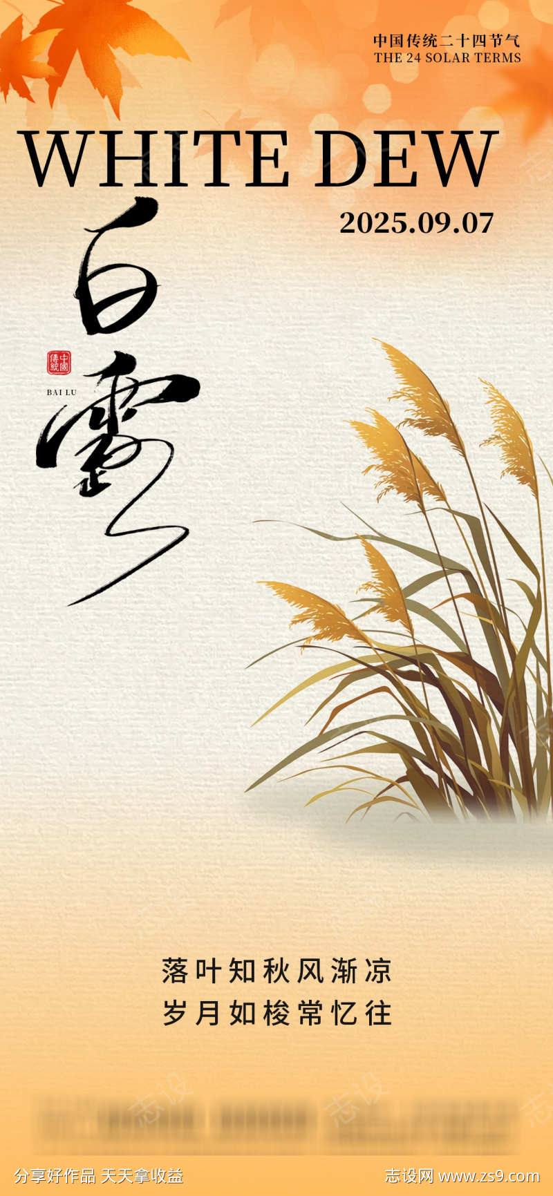 白露节气海报