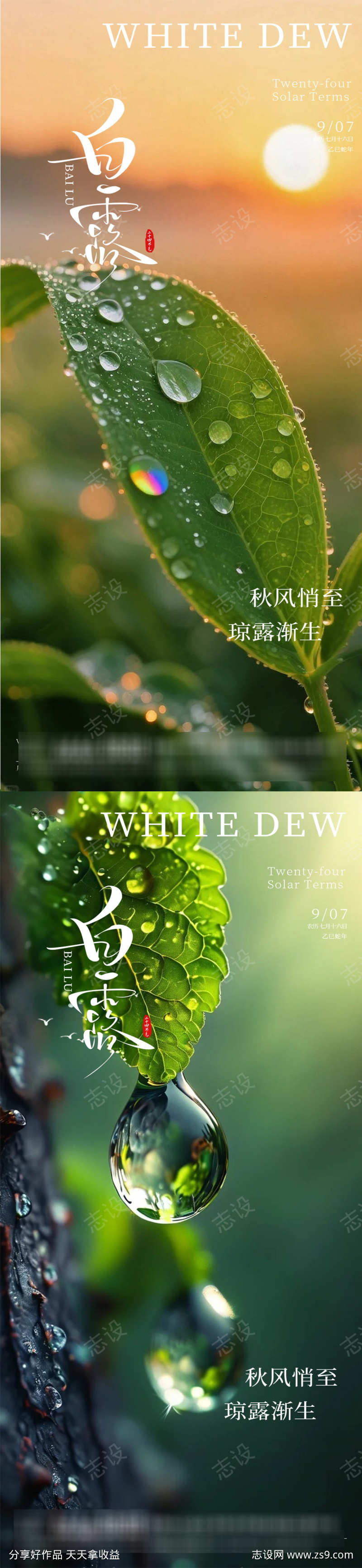 白露节气海报