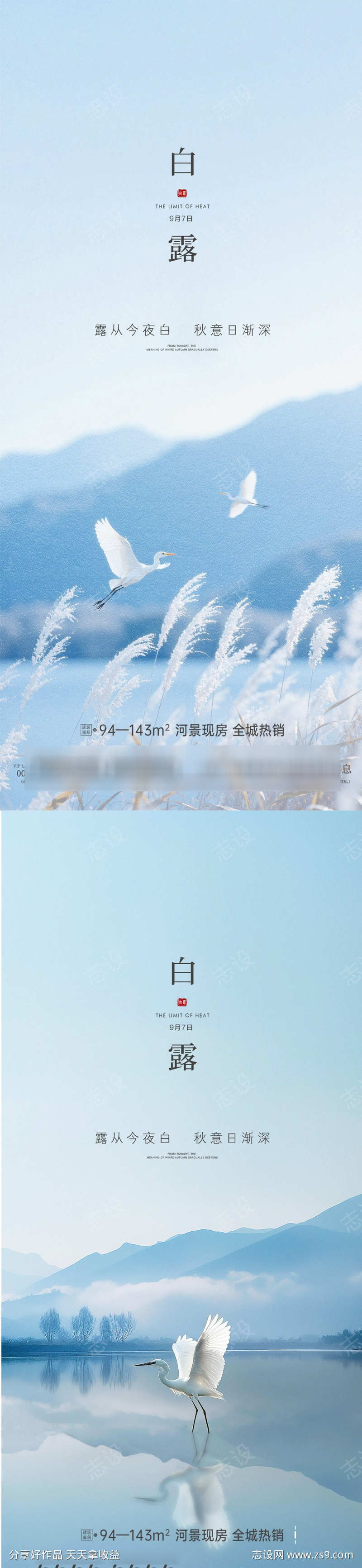 白露节气海报