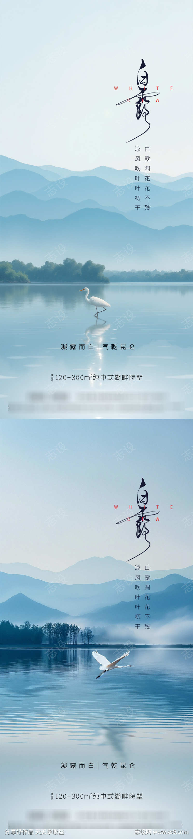 白露节气海报