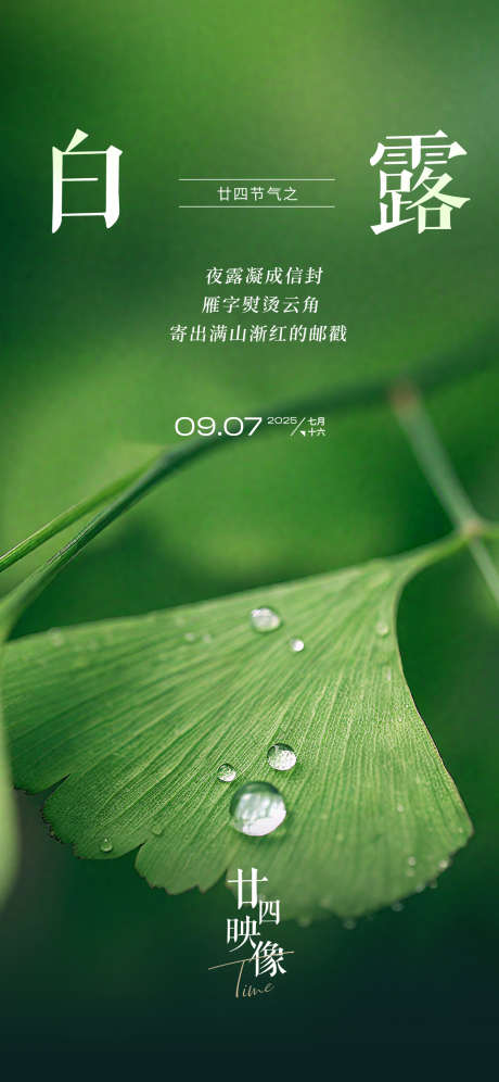 2025白露节日节气_源文件下载_AI格式_1125X2436像素-海报,节气,白露-作品编号:2025090217084937-志˜设͵网