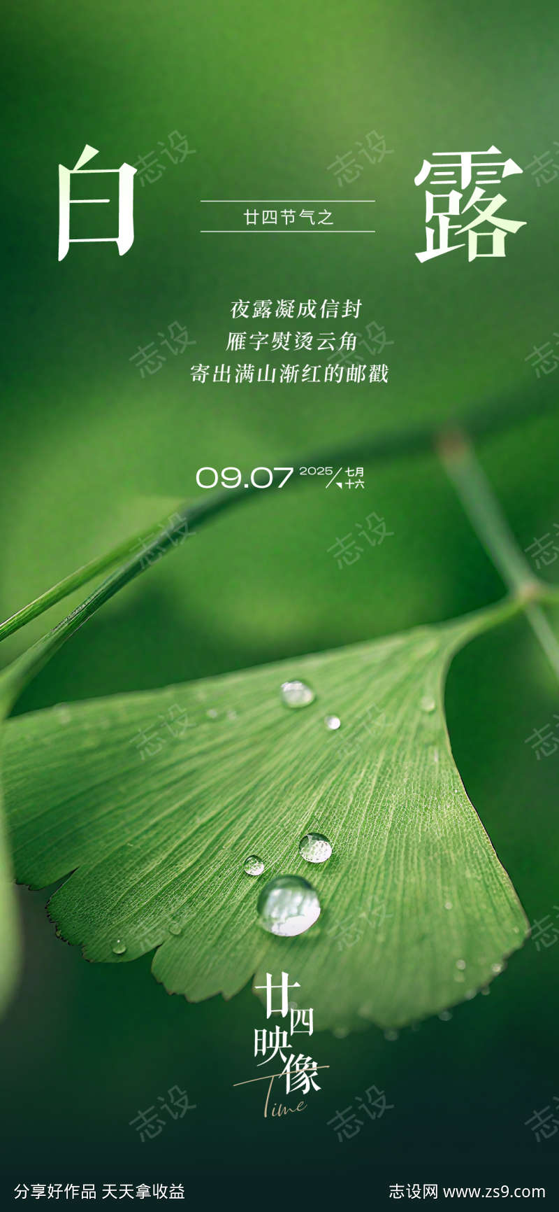 2025白露节日节气
