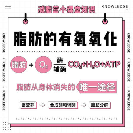 瘦身九宫格知识宣传科普方图减脂课封面_源文件下载_PSD格式_1080X1080像素-封面,减脂课,方图-作品编号:2025090309439023-志ˆ设ˌ网