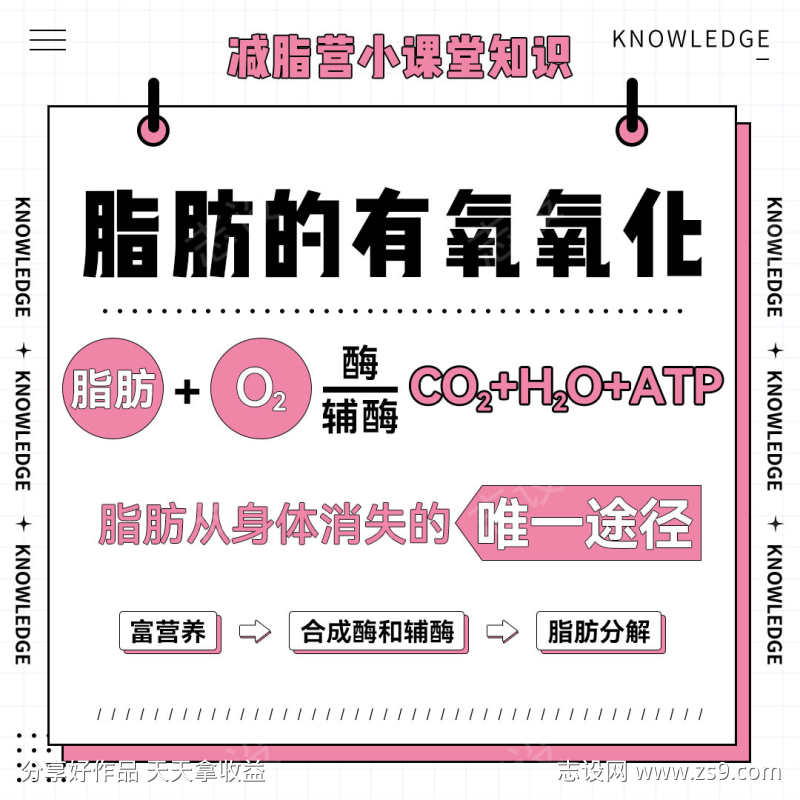 瘦身九宫格知识宣传科普方图减脂课封面