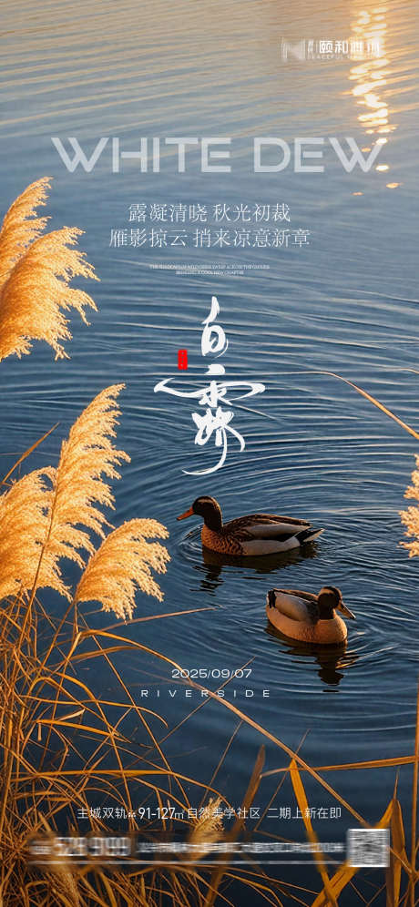 2025白露节日节气_源文件下载_AI格式_1125X2436像素-节气,白露,地产-作品编号:2025090409238908-志˲͓͕͔͐͑͗ٚٛٙ设‛ۛ网