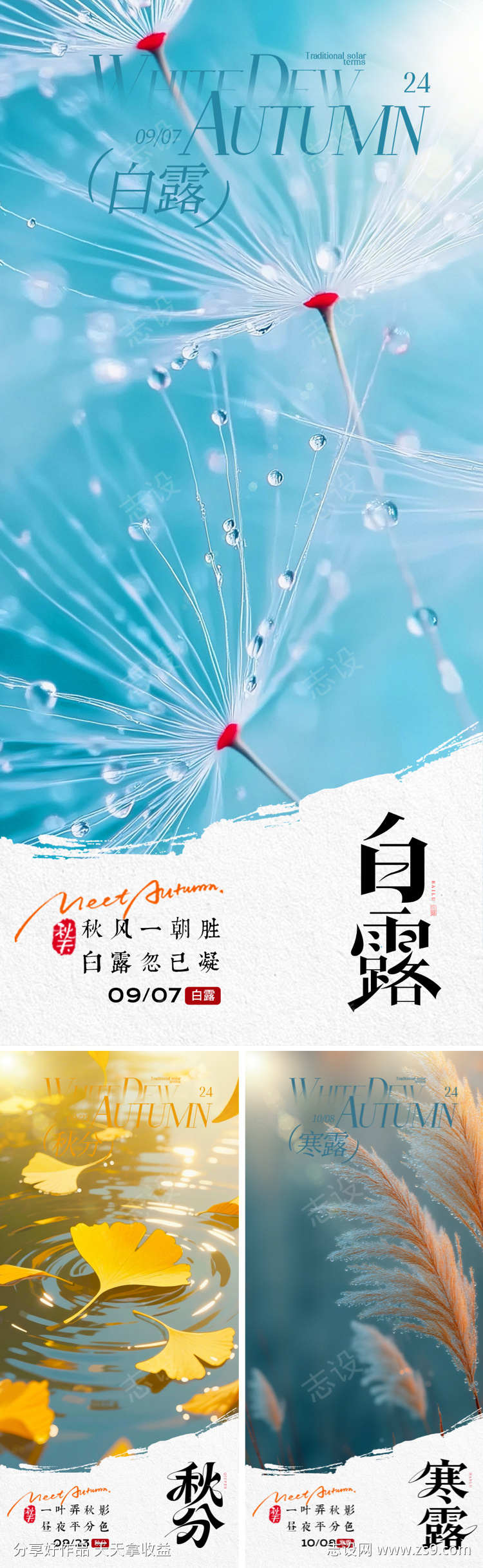 地产白露秋分寒露海报