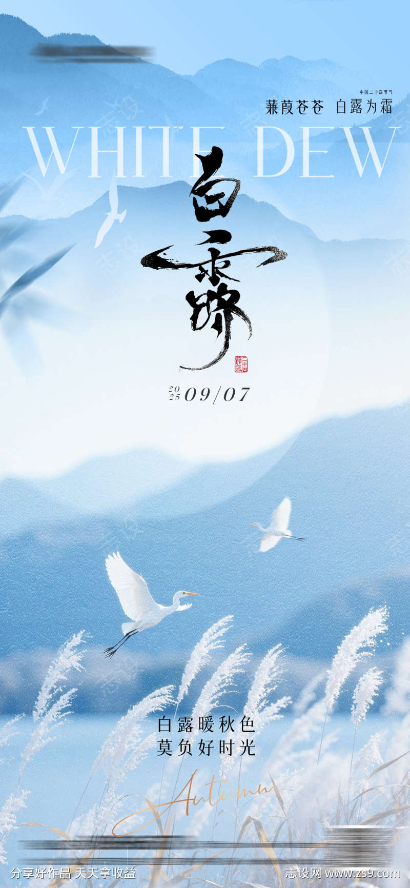白露中式简约芦苇海报