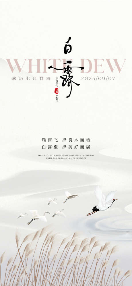 白露简约意境节气海报_源文件下载_PSD格式_1125X2436像素-芦苇,秋天,白露-作品编号:2025090411591004-志ˌ设ˇ网