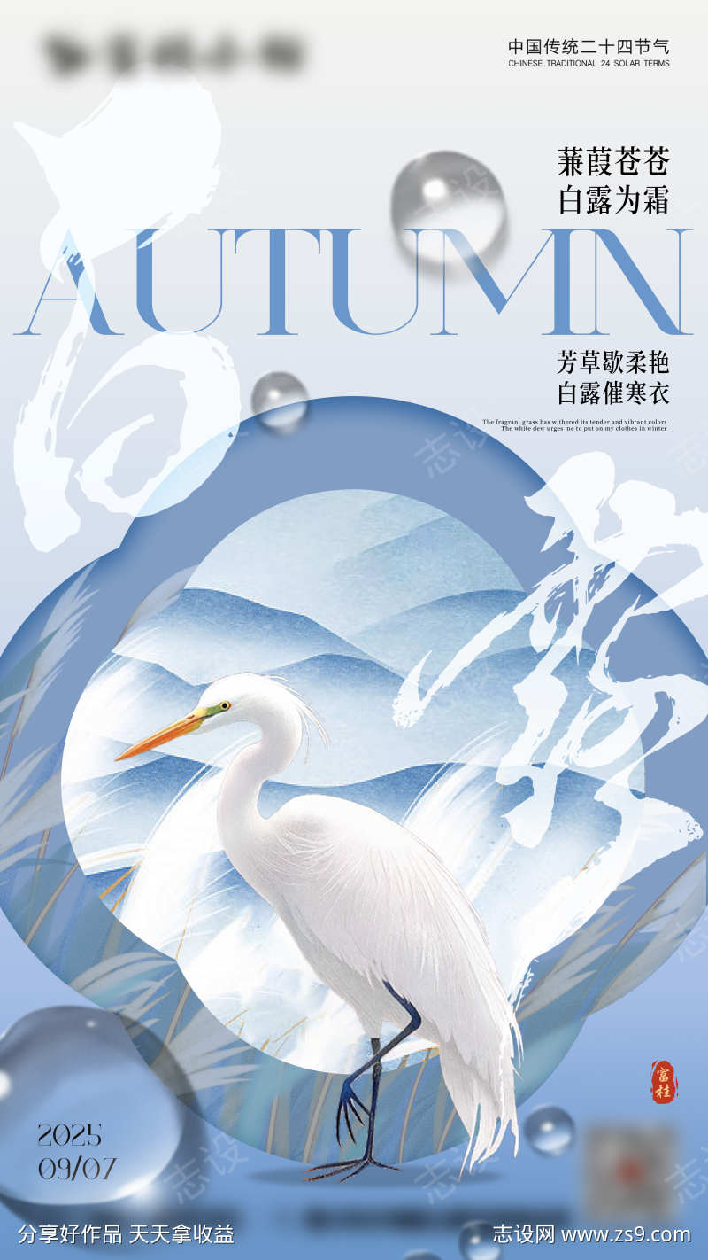 白露节气海报