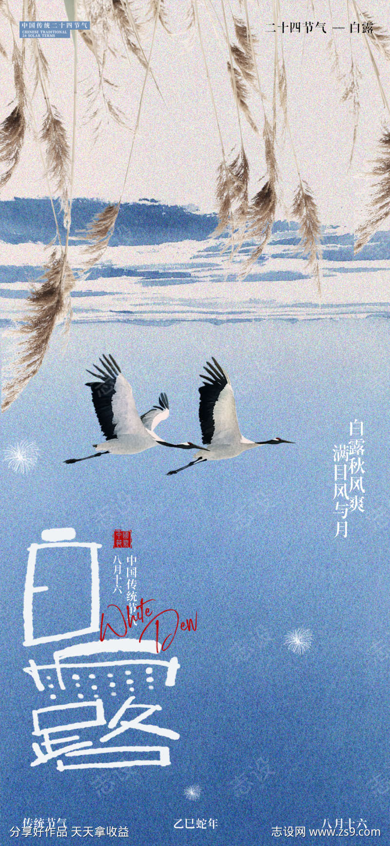 白露节气抽象海报