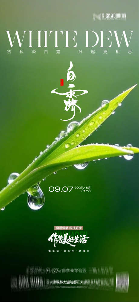 2025白露节日节气_源文件下载_AI格式_1125X2437像素-二十四,节气,节日-作品编号:2025090516031074-志·设’网