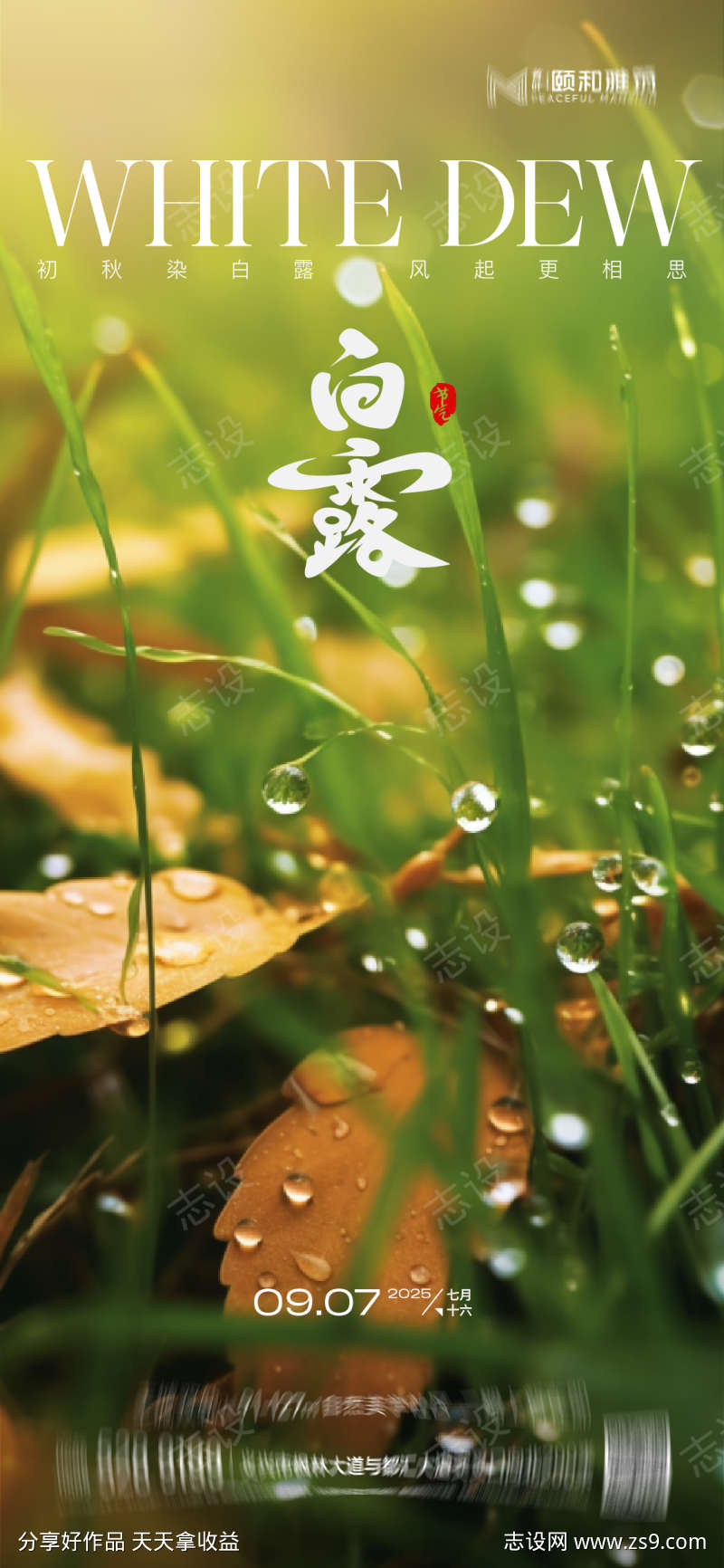 2025白露节日节气