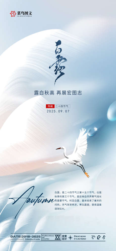 白露节气海报_源文件下载_PSD格式_1242X2688像素-朋友圈,广告,宣传-作品编号:2025090509192282-志ˉ设˯网