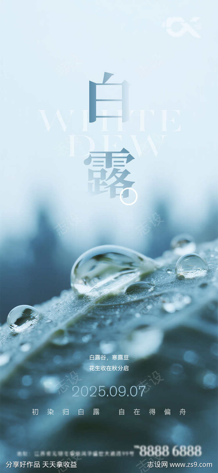 白露节气海报
