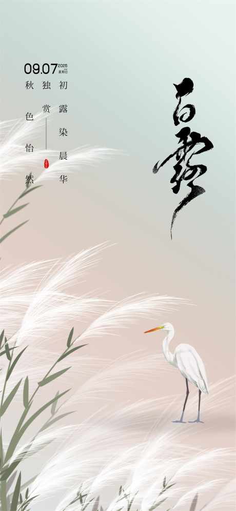 白露微信稿_源文件下载_PSD格式_3500X7582像素-新中式,节气,海报-作品编号:2025090511428322-志‘设′网
