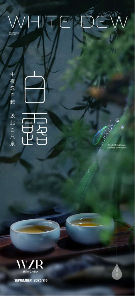 白露节气海报_源文件下载_AI格式_815X1778像素-二十四节气,白露,茶具-作品编号:2025090402987837-志·设·网