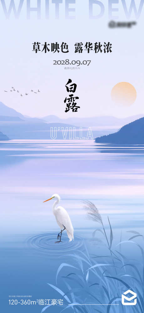 白露海报节气_源文件下载_PSD格式_1063X2303像素-白鹭,白露,二十四节气-作品编号:2025090613229953-志‘设ˉ网