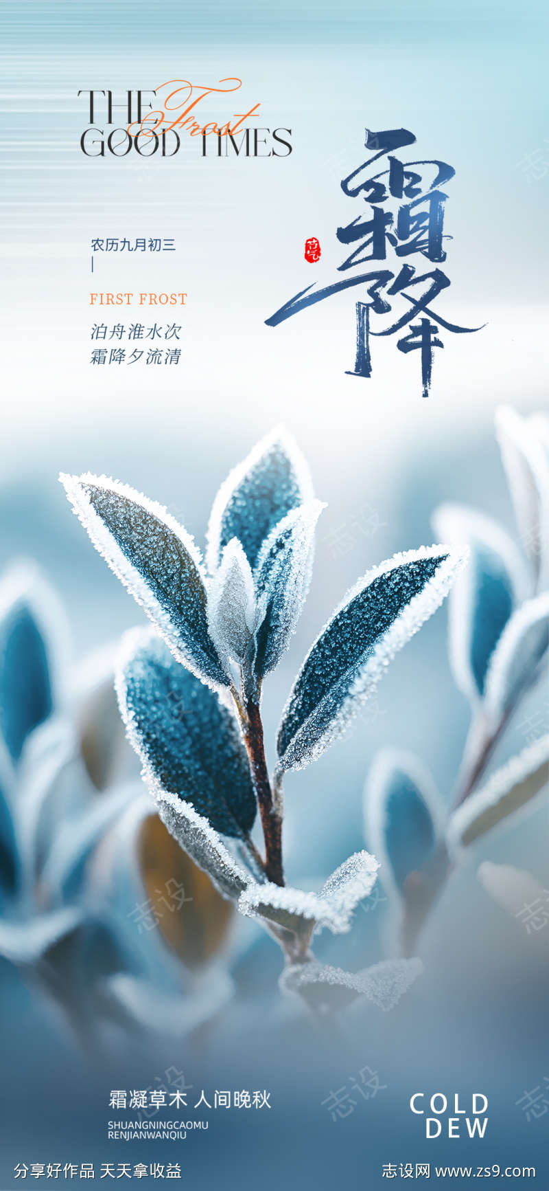 简约创意摄影风霜降节气海报