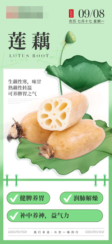 秋天吃莲藕好处海报_源文件下载_PSD格式_1242X2688像素-蔬菜,食物,正能量-作品编号:2025090816146961-志͵设ˉ网