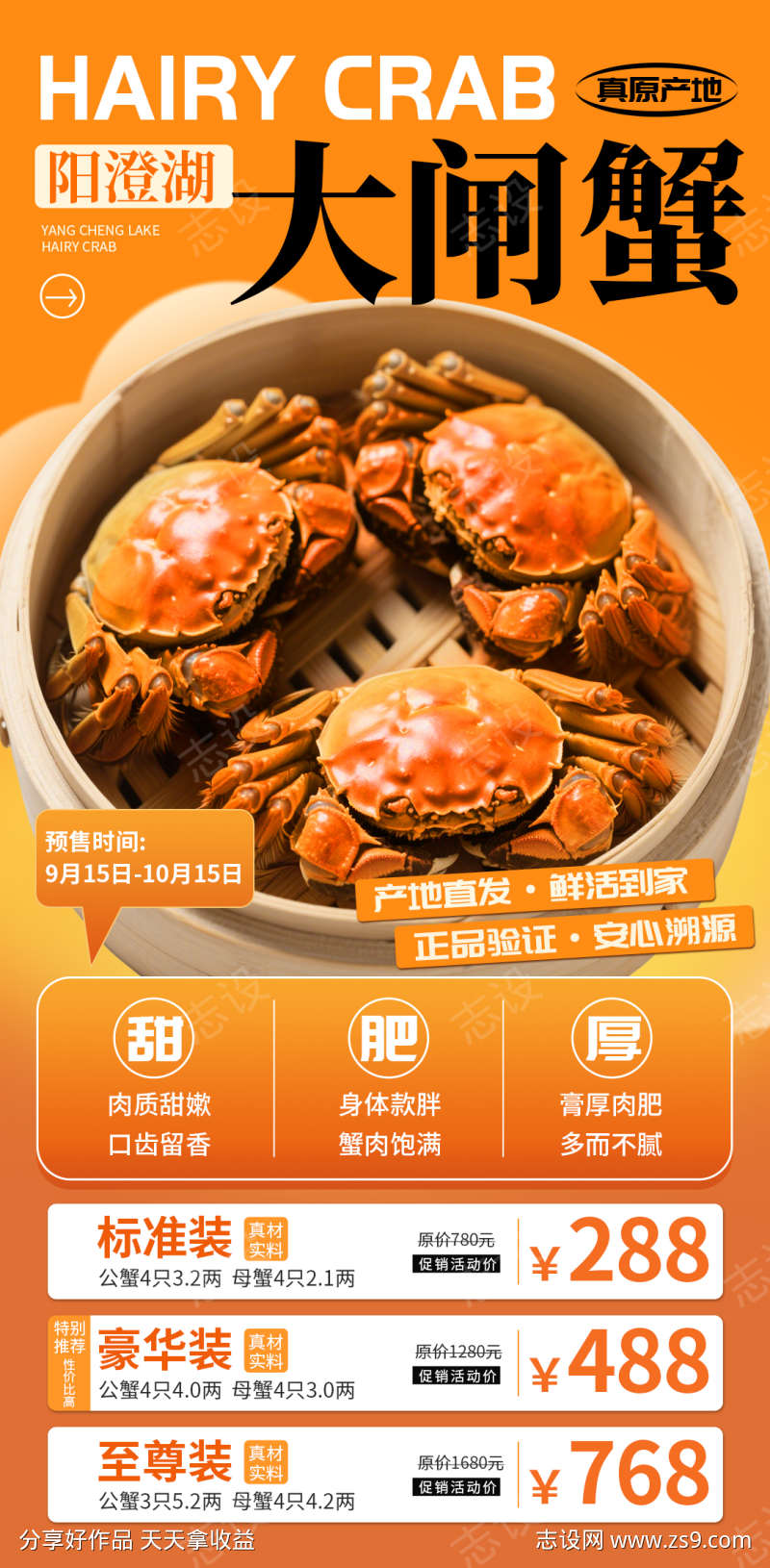 金秋阳澄湖大闸蟹海报