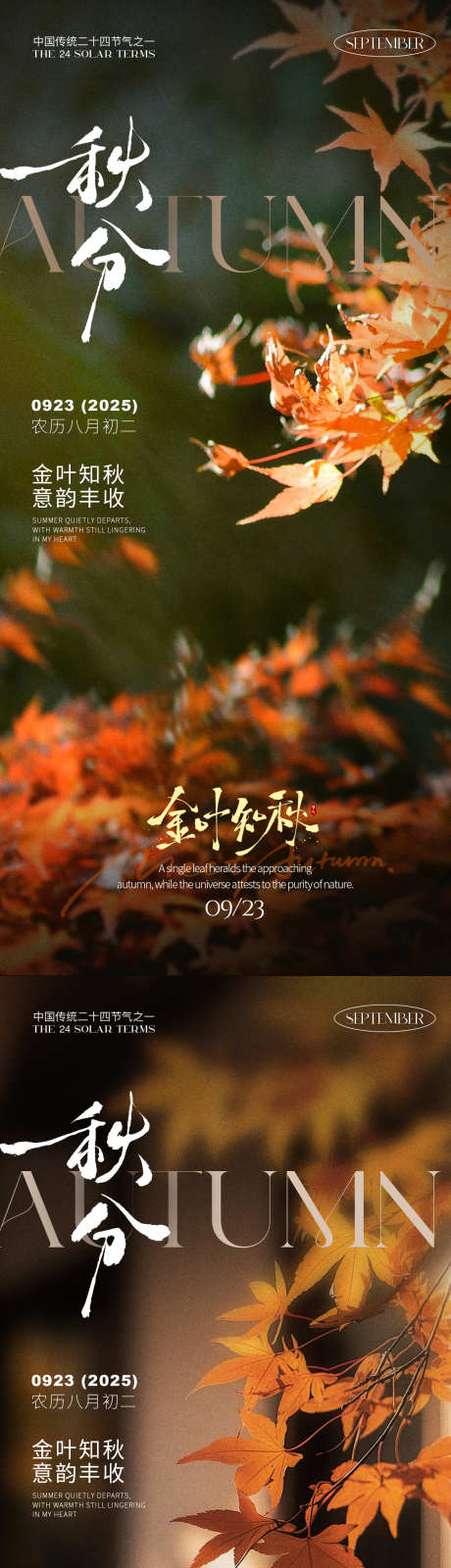 秋分之枫叶海报_源文件下载_PSD格式_1125X2436像素-节气,秋分,枫叶-作品编号:2025090815034865-志˘设‛ۛ网
