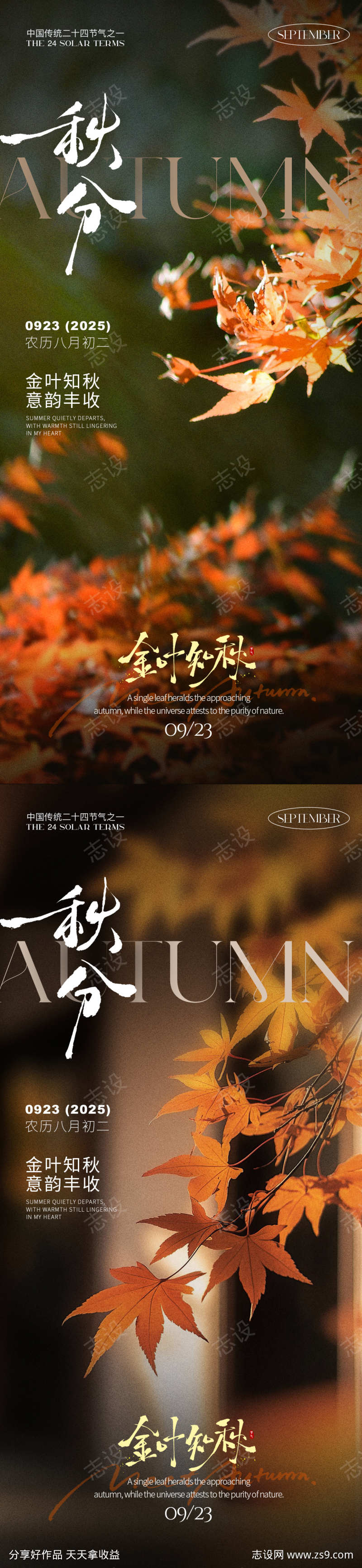 秋分之枫叶海报