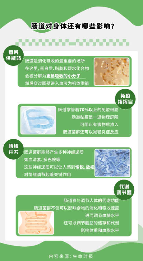 肠道健康科普_源文件下载_PSD格式_1207X2201像素-科普,健康,海报-作品编号:2025091008447302-志˲͓͕͔͐͑͗ٚٛٙ设˒网