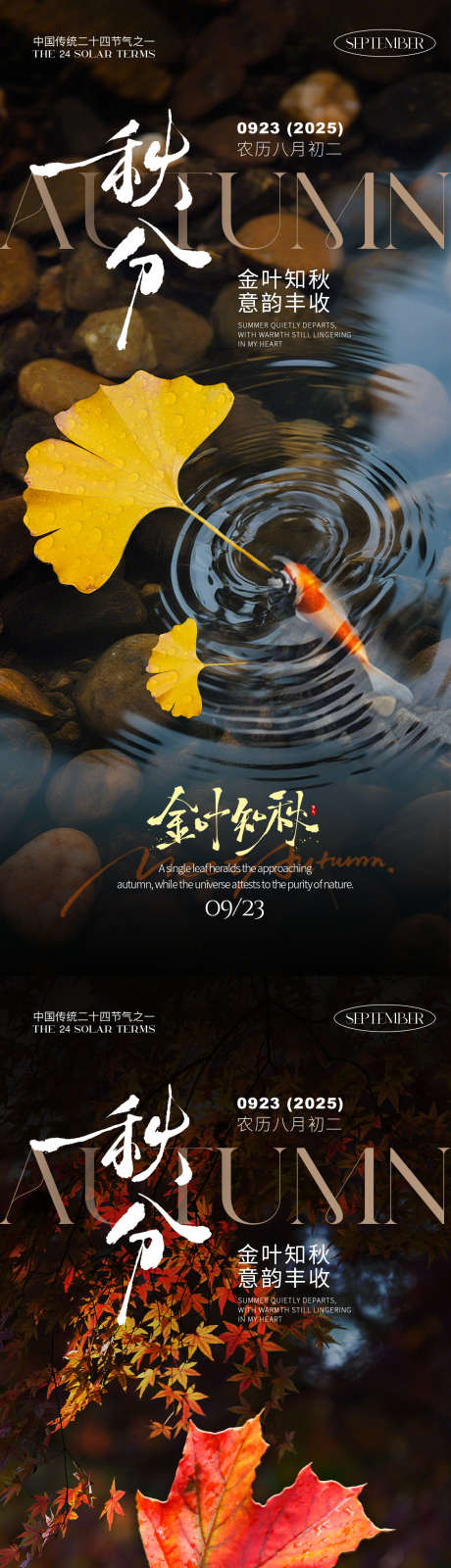 秋分之金叶知秋_源文件下载_PSD格式_1125X2340像素-节气海报,秋分节气,秋分-作品编号:2025090911328221-志ʹ֣֤֚֫֗ׄ设′网