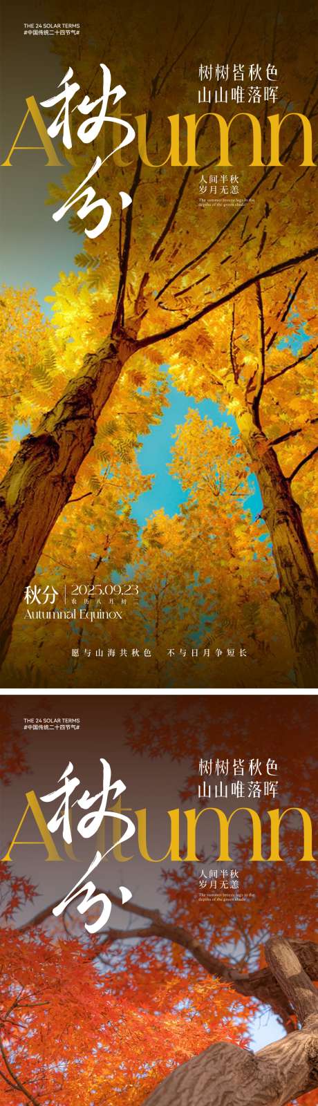 秋分节气海报_源文件下载_CDR,AI格式_2000X4330像素-枫树,海报,节气-作品编号:2025091013371398-志˘设˘网