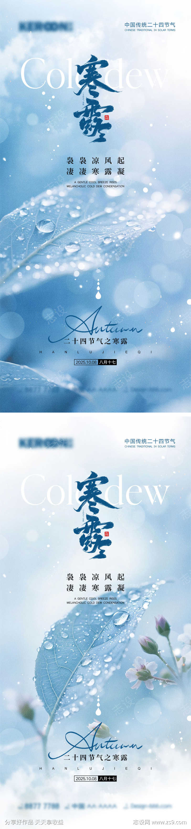 寒露节气海报