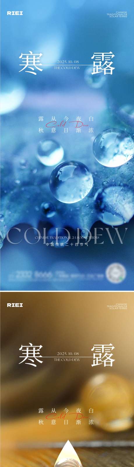 寒露节气海报
