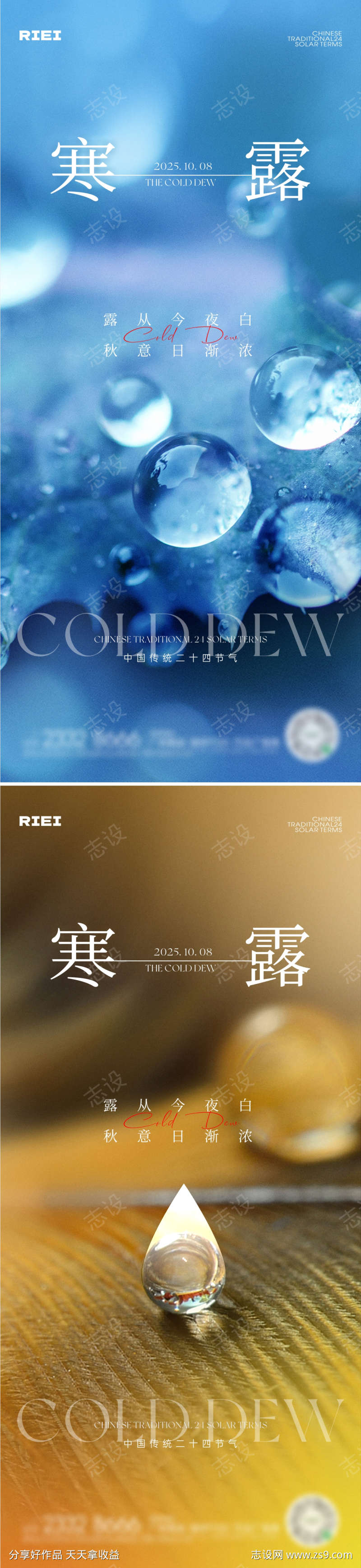 寒露节气海报